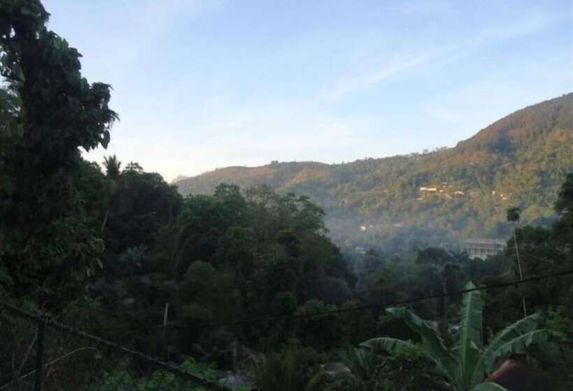 بنسيون Relaxed Style Of Stay