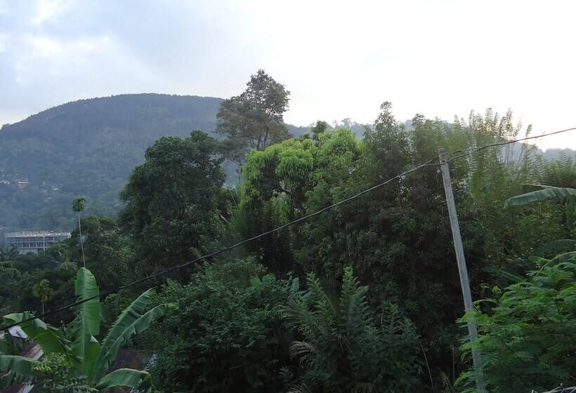 بنسيون Relaxed Style Of Stay