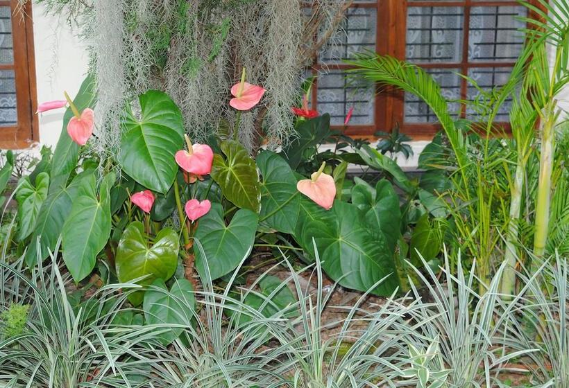 بنسيون Relaxed Style Of Stay