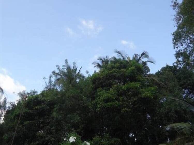 بنسيون Relaxed Style Of Stay