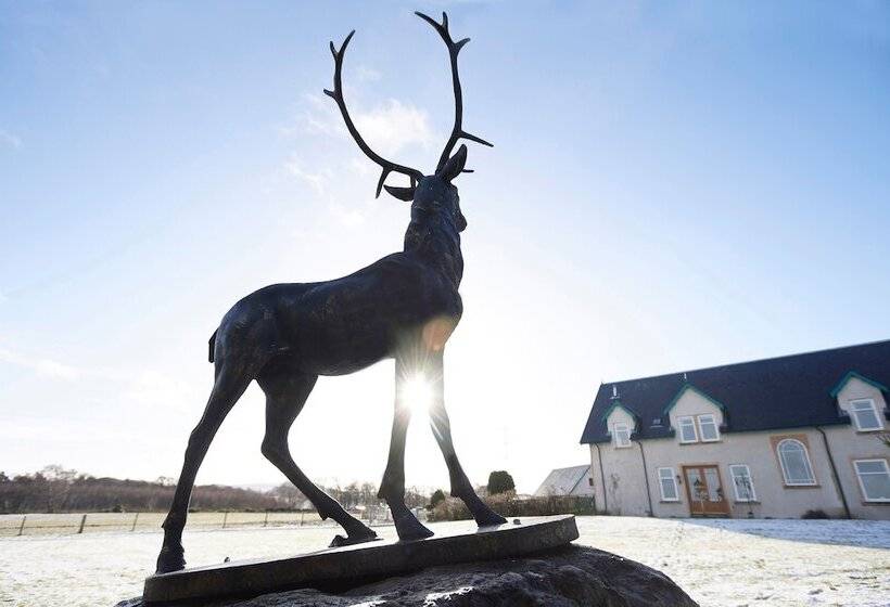 Bed and Breakfast Daviot Lodge