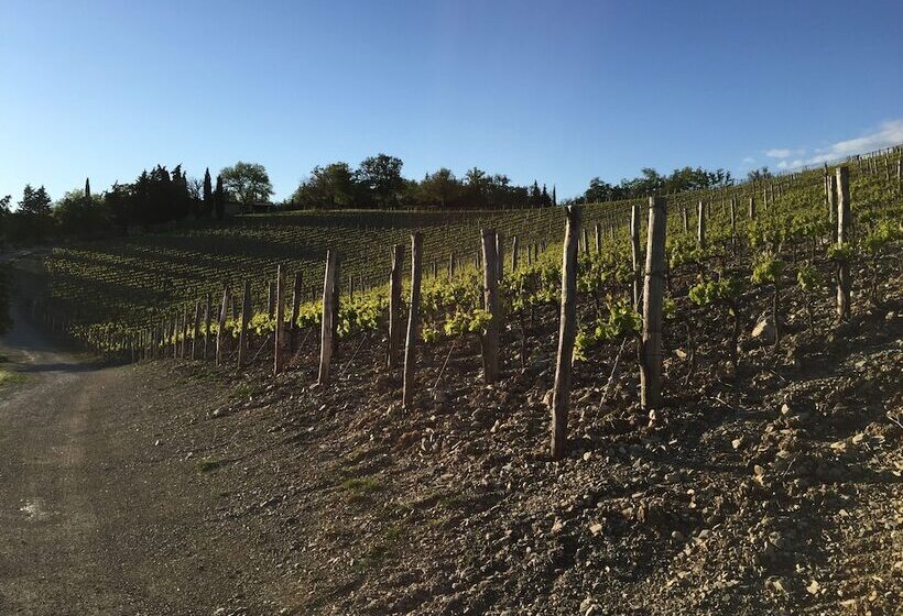 Отель Collelungo