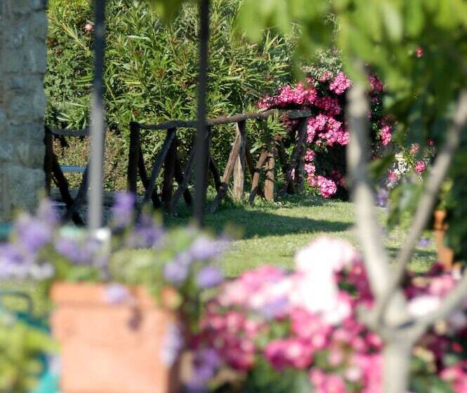 Отель Collelungo