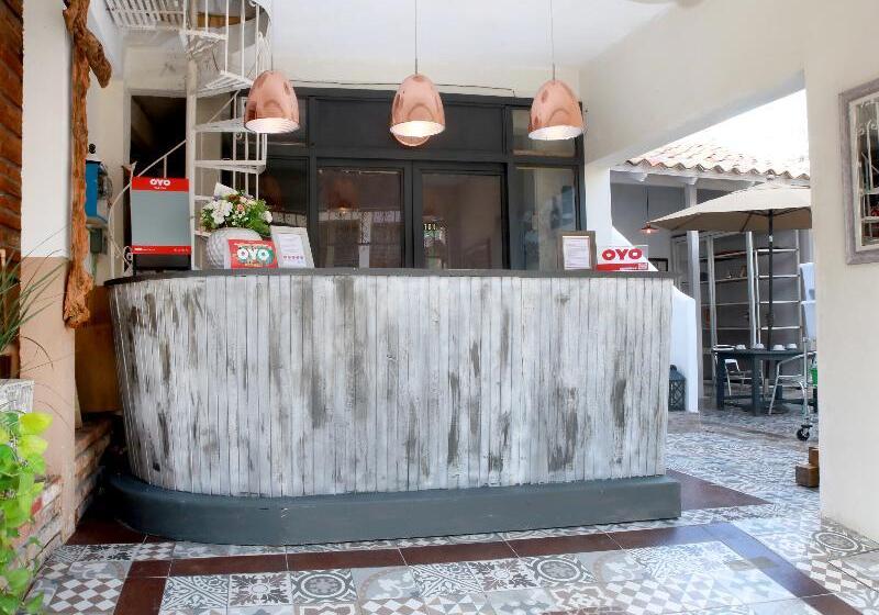 فندق Maria Otilia Falla