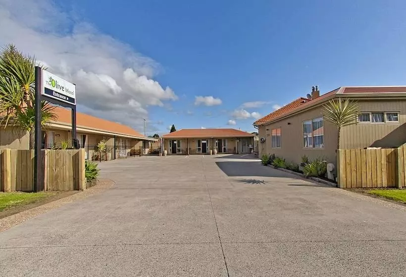 The Olive Motel