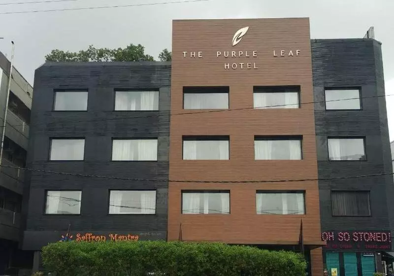 The Purple Leaf Hotels