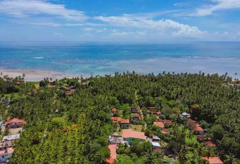 בית מלון כפרי Ajubá Pousada