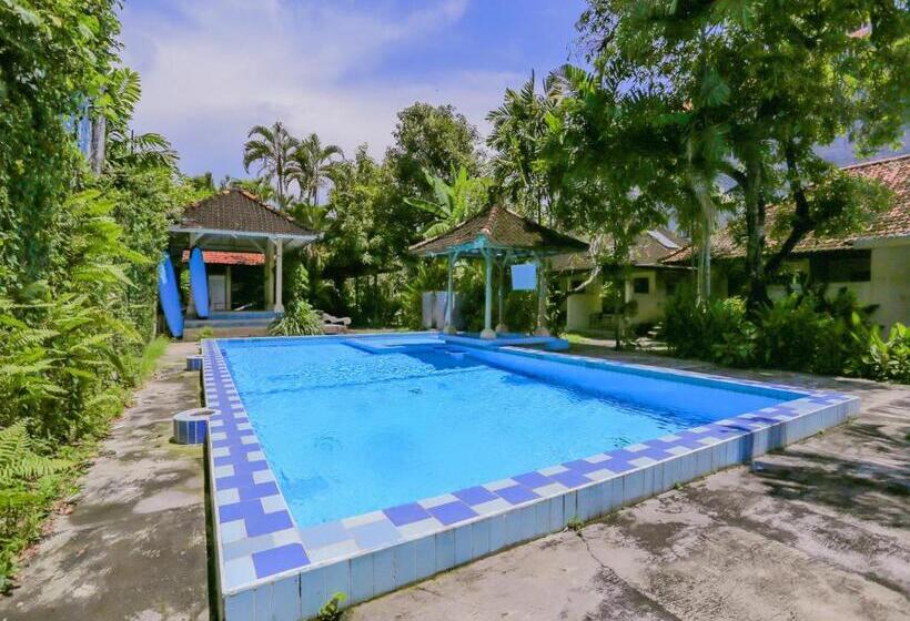 فندق Ari Beach Inn By Oyo