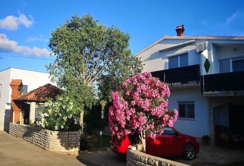 Пансион Apartments Snježana Carev