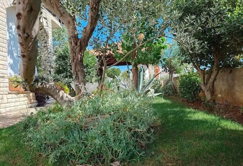 Majatalo Apartments Snježana Carev