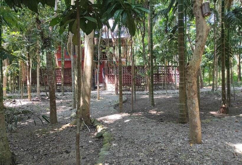 Homocation Sikhiri Cottages