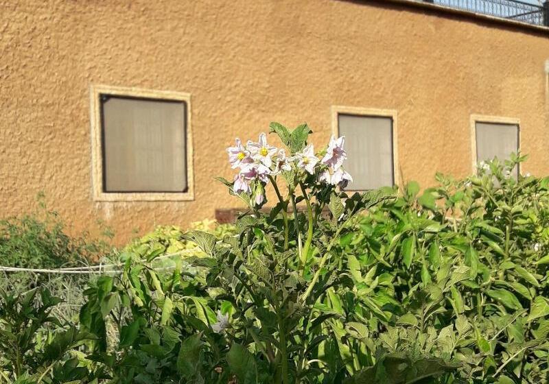 Auberge Hôtelière Ouirgane Ecolodge