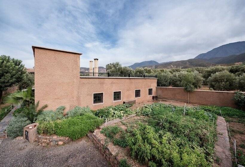 Auberge Hôtelière Ouirgane Ecolodge