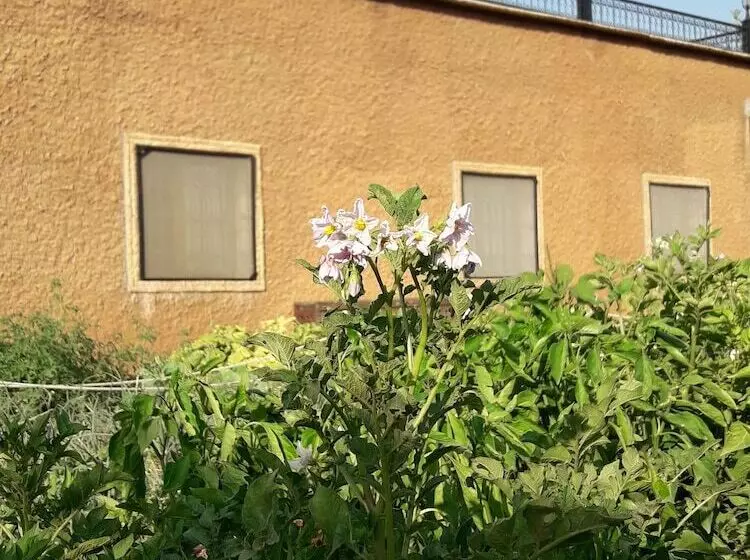 Hostel Ouirgane Ecolodge