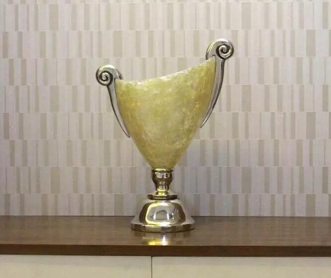 تختخواب و صبحانه Naas Serviced Apartments