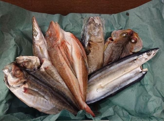 בית מלון כפרי Kyukamura Tateyama