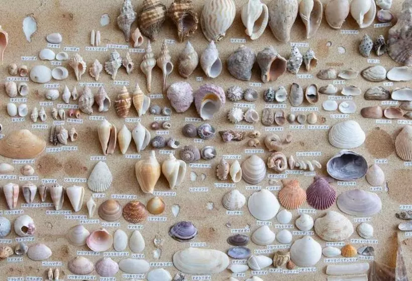 Hotel Kyukamura Tateyama