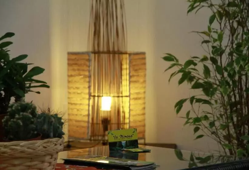 酒店 La Mimosa