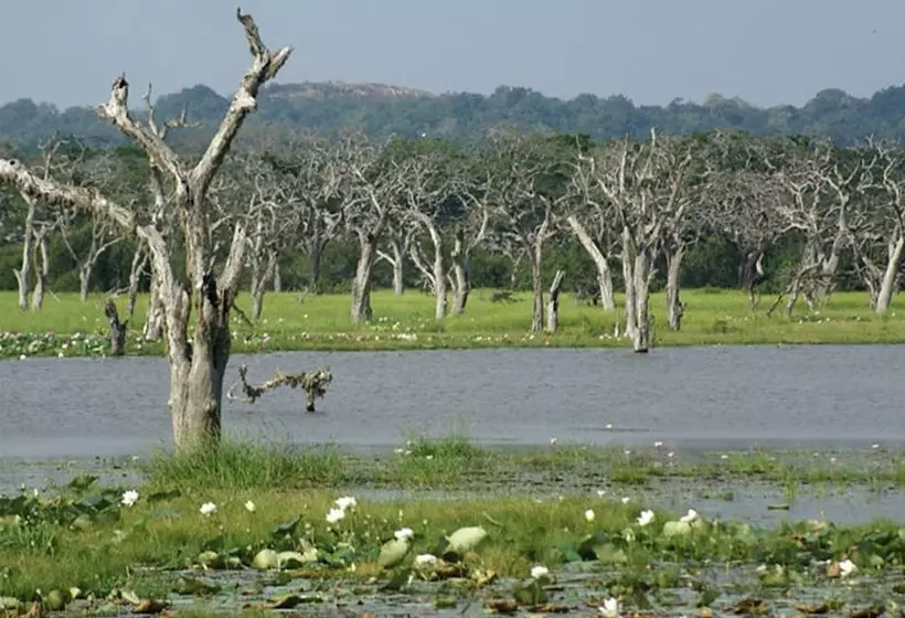 Отель Nature Resort Yala Safari Village