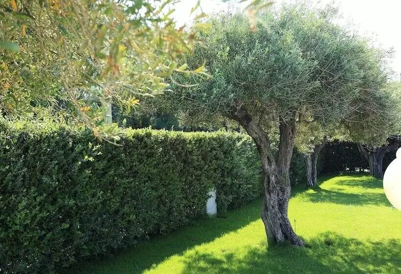 Hotel Nettuno Resort