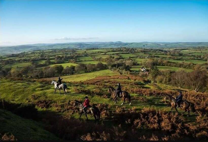 בית מלון כפרי The Pheasant At Neenton