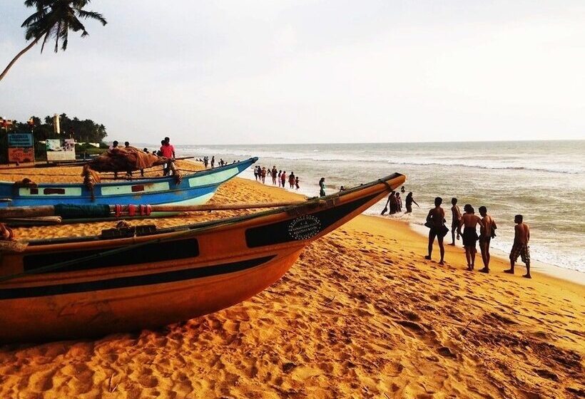 بنسيون Marigold Beachhouse