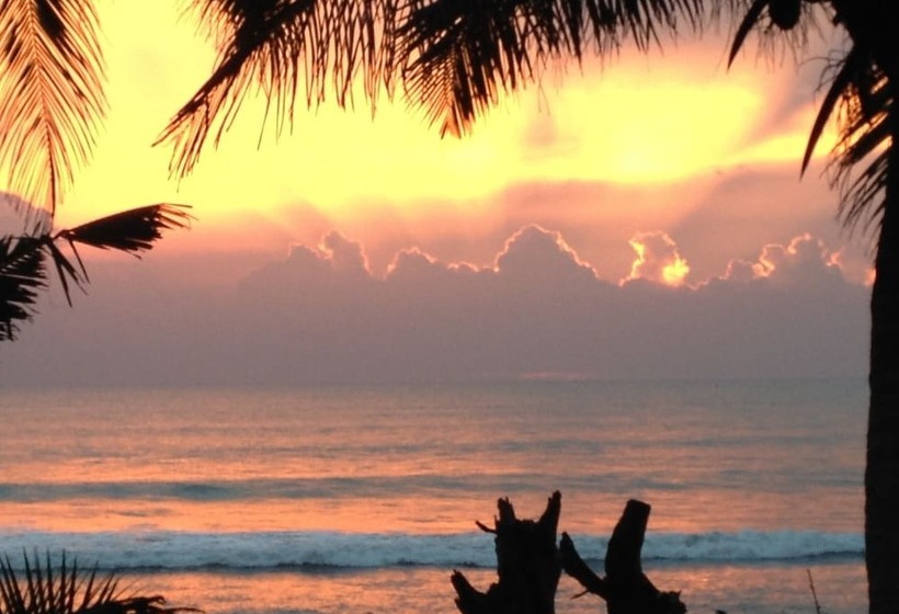 بنسيون Marigold Beachhouse