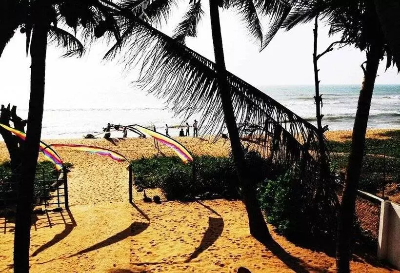 膳宿费 Marigold Beachhouse