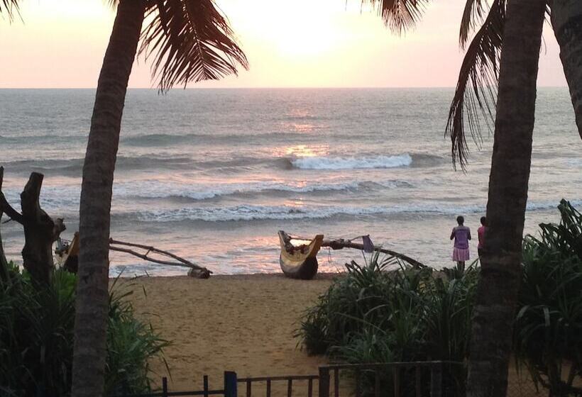 بنسيون Marigold Beachhouse