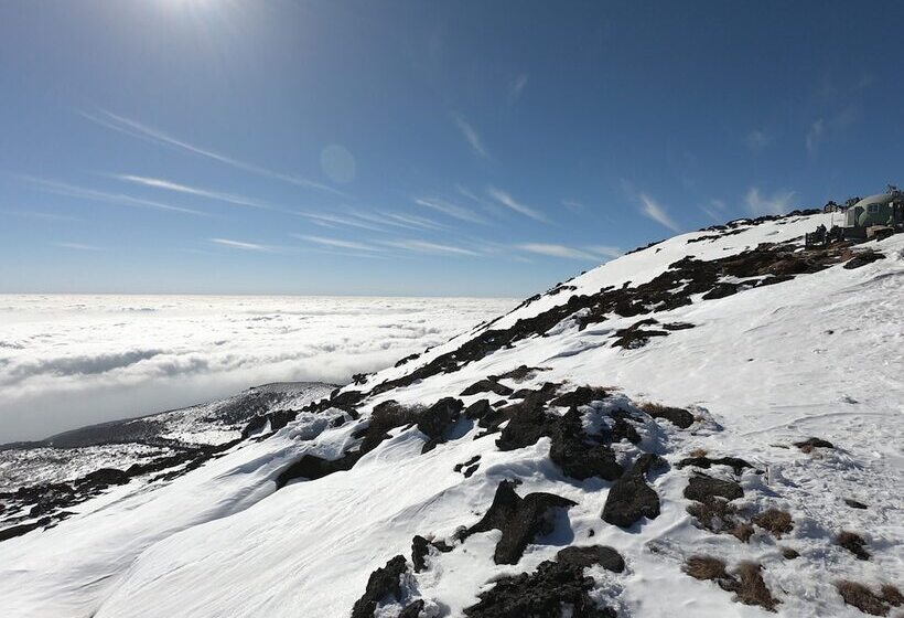 Szálló Slow Citi Guest House