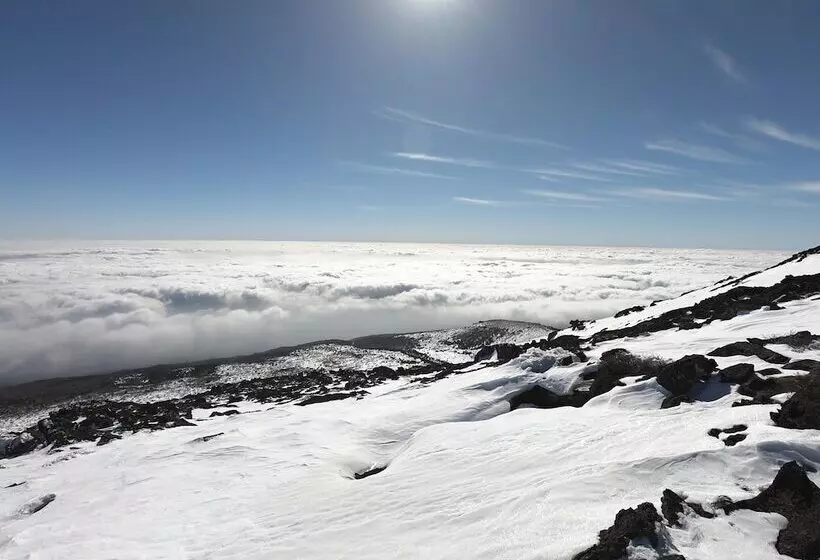 הוסטל Slow Citi Guest House