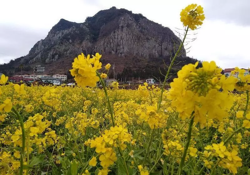 הוסטל Slow Citi Guest House