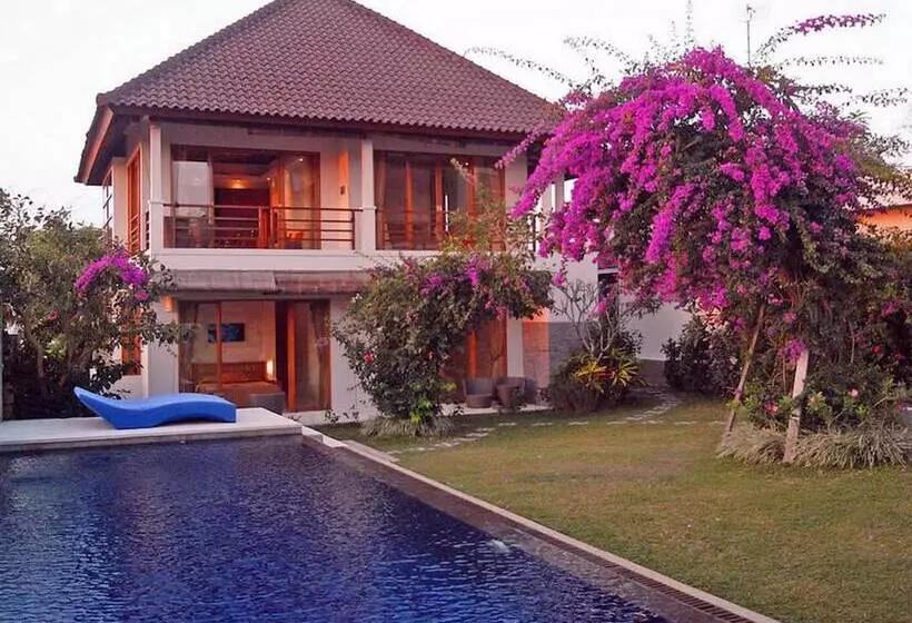 Blue Rose Villa