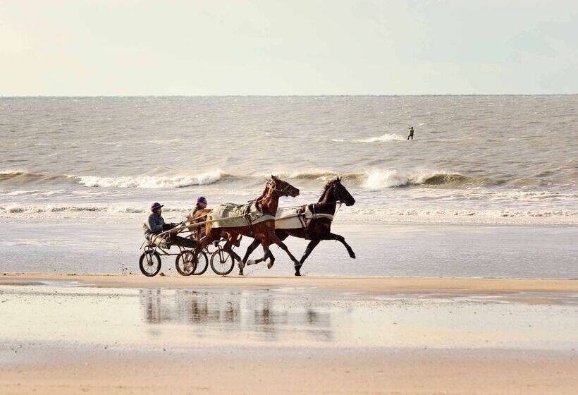 Отель Ibis Budget Deauville