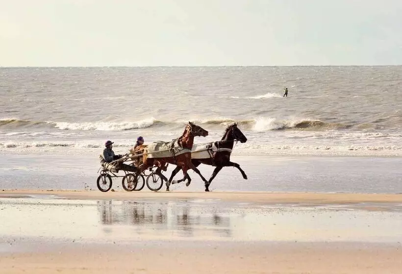 هتل Ibis Budget Deauville