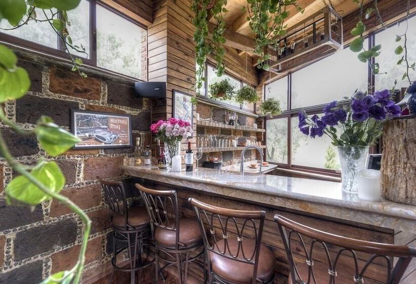 ホテル Matea San Isidro