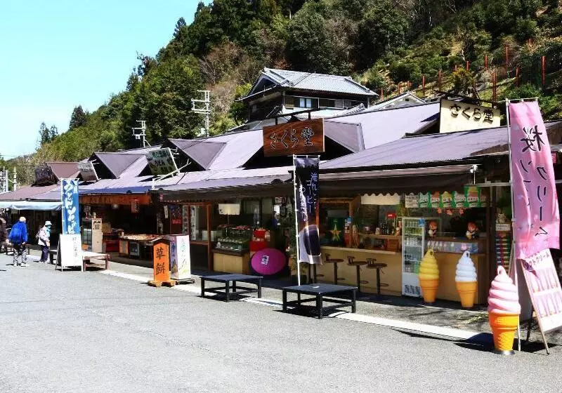 호텔 Miyoshino Sakuraan