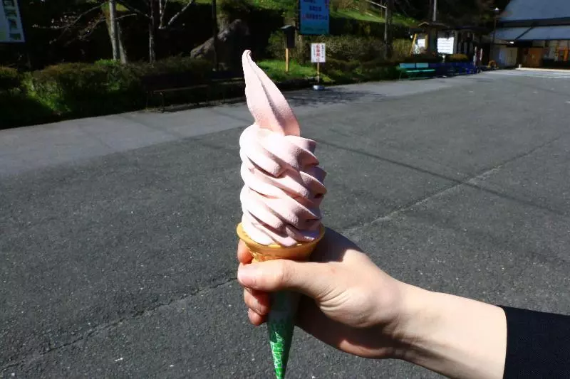 호텔 Miyoshino Sakuraan