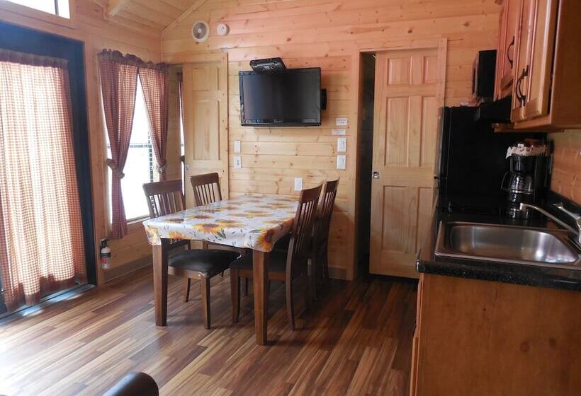 Отель Snake River Cabin Village