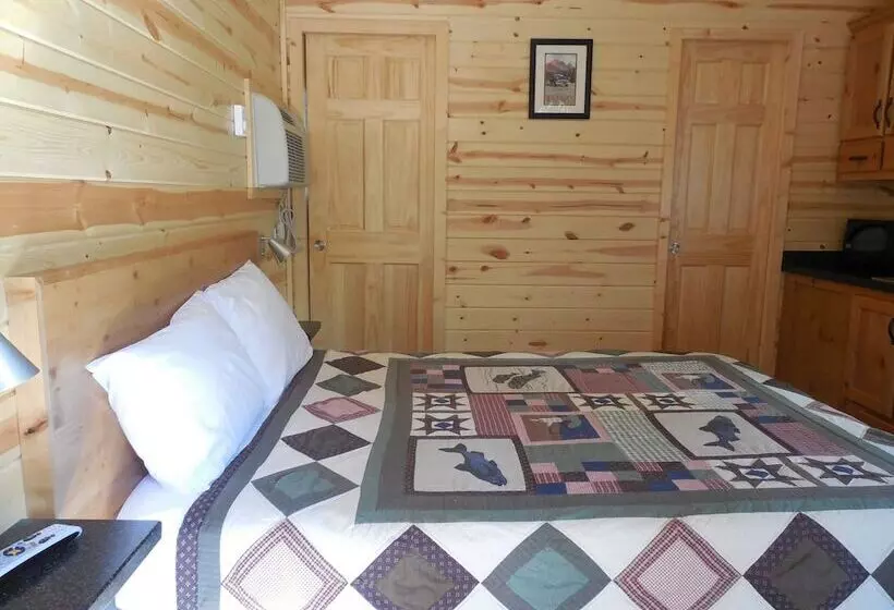 Отель Snake River Cabin Village