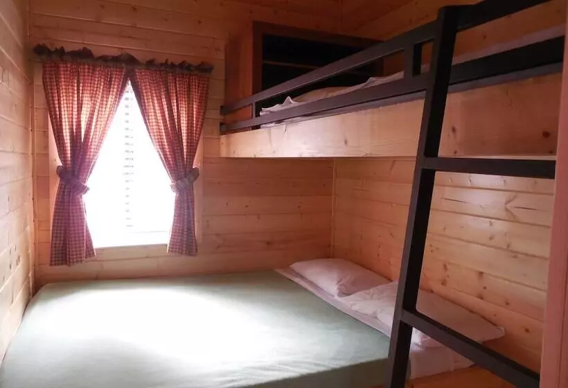 Отель Snake River Cabin Village