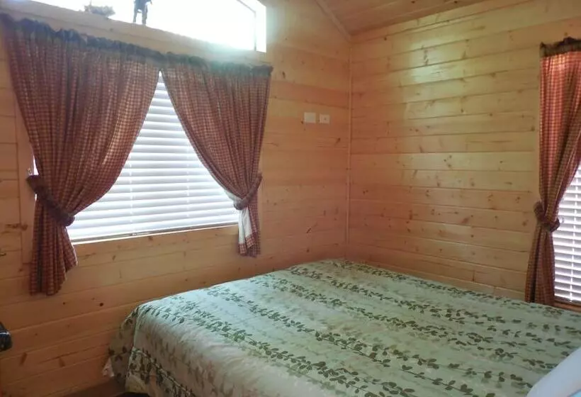 Отель Snake River Cabin Village