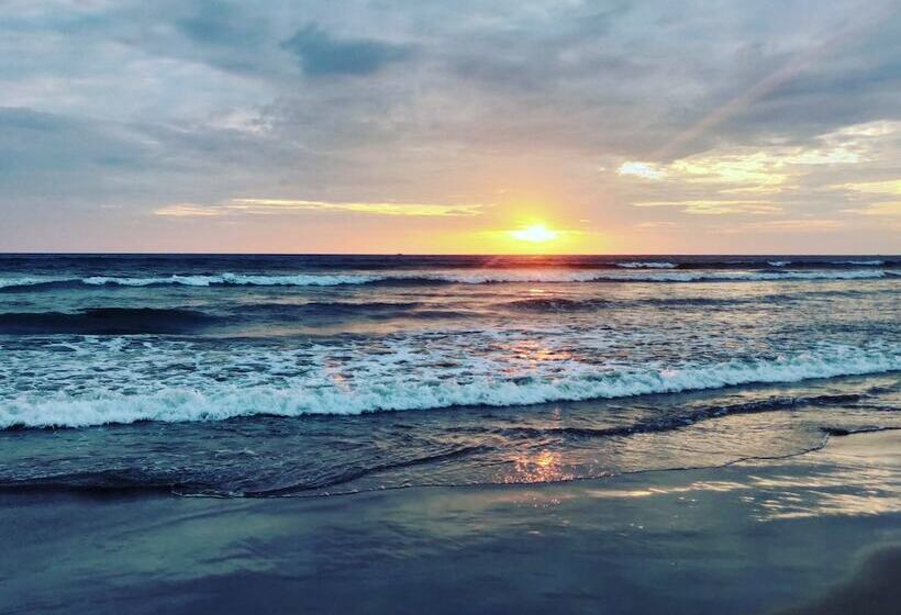 Morjim Sunset Guesthouse  Apartments With Kitchen & Ac Rooms