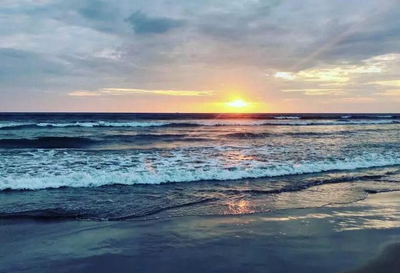 Morjim Sunset Guesthouse  Apartments With Kitchen & Ac Rooms