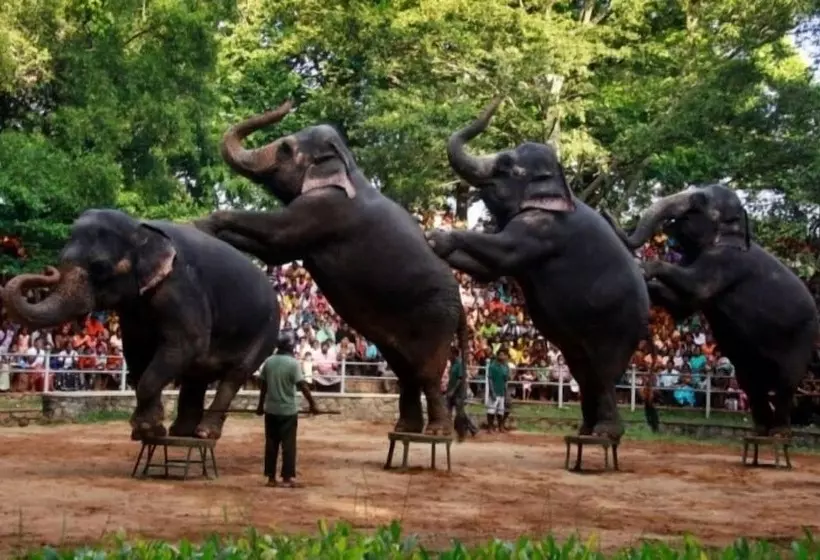 Ocean Breeze Apartment Colombo