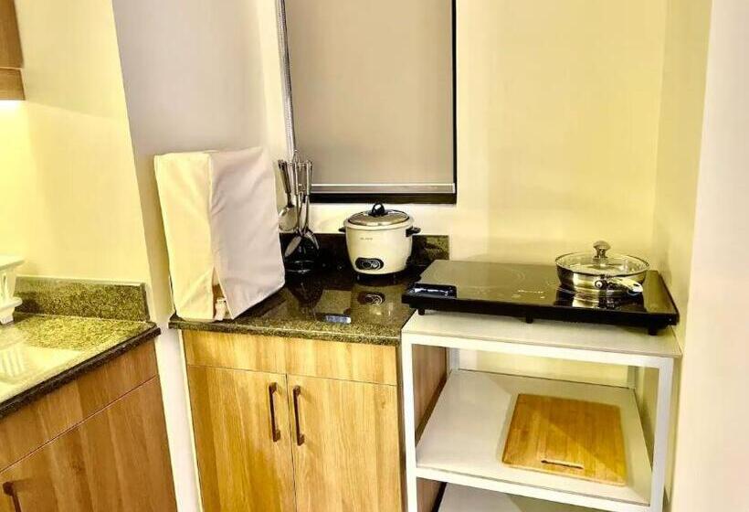 One Aston Deluxe Suite Baguio 2br At Bristle Ridge