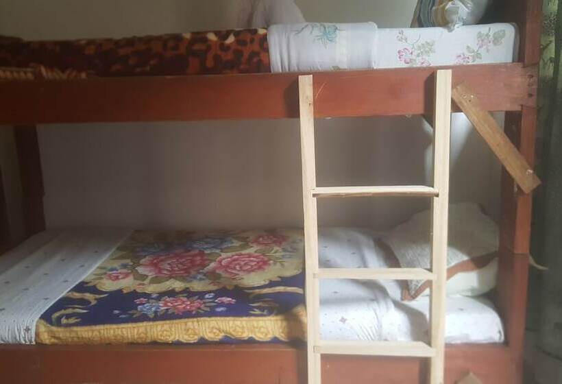 پانسیون Golden Monkey Guest House