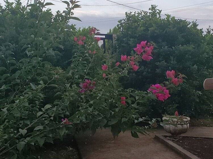 Gm Suites Bed & Breakfast