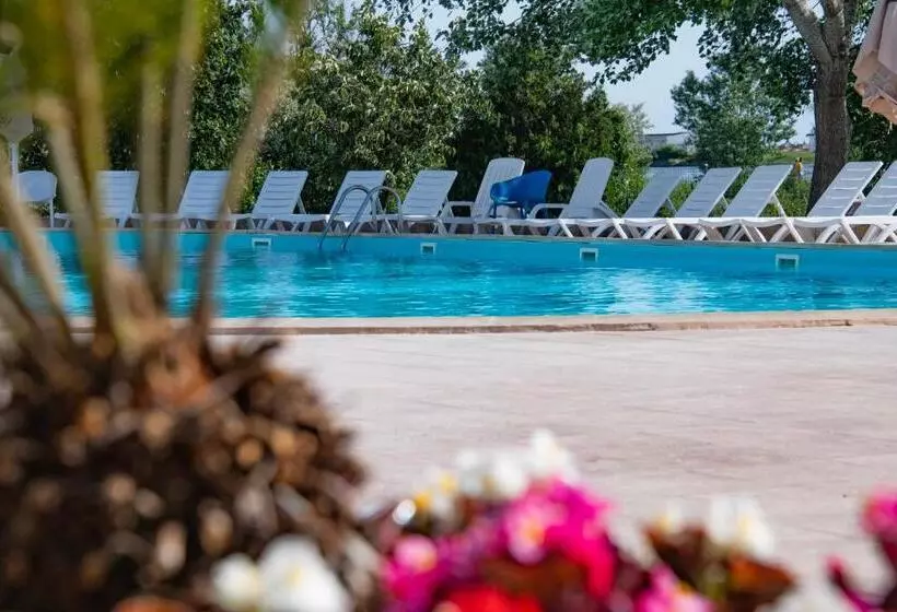 هتل Complex Tismana All Inclusive