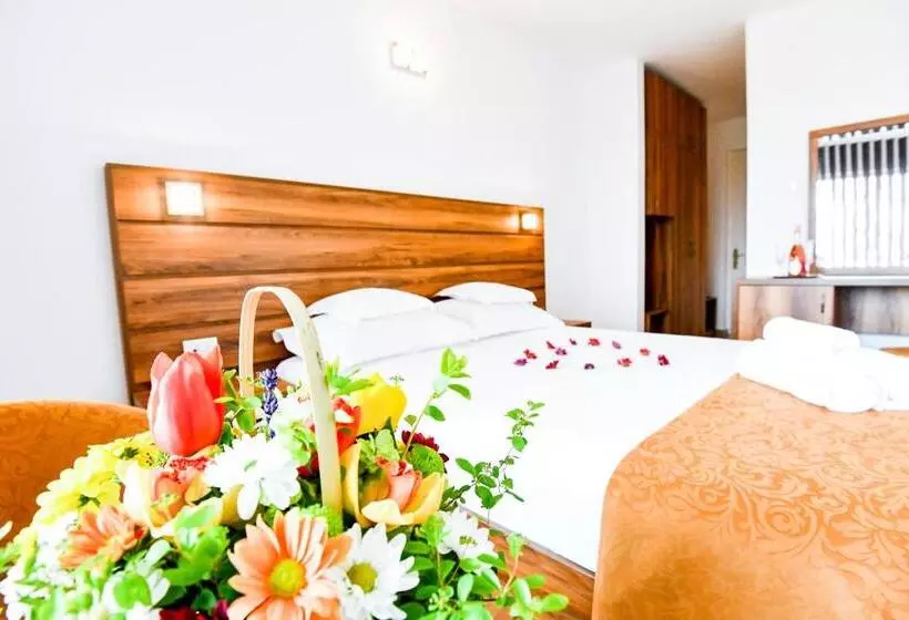 هتل Complex Tismana All Inclusive